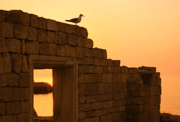 Ancient ruins during sunset — Stock Photo, Image