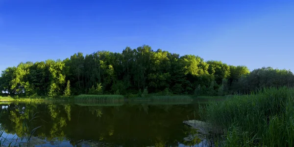 Lake panoramic image — Stock Photo, Image