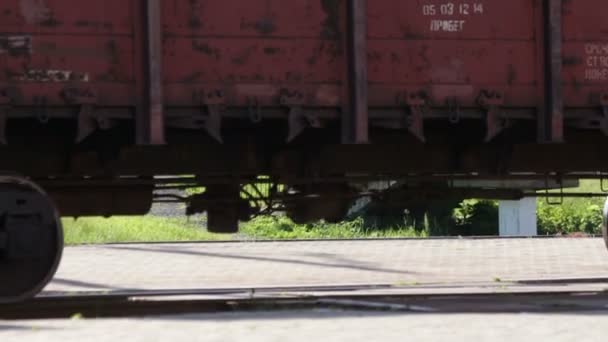 Cargo train wheels — Stock Video