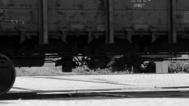 Ruote del treno merci — Video Stock