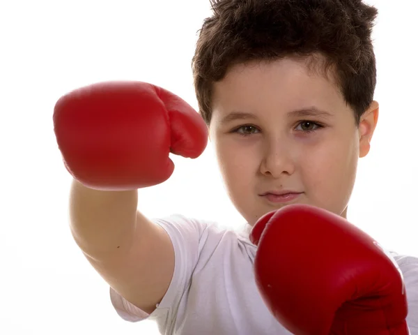 Porträt des jungen Boxers, der isoliert weißen Hintergrund trainiert — Stockfoto