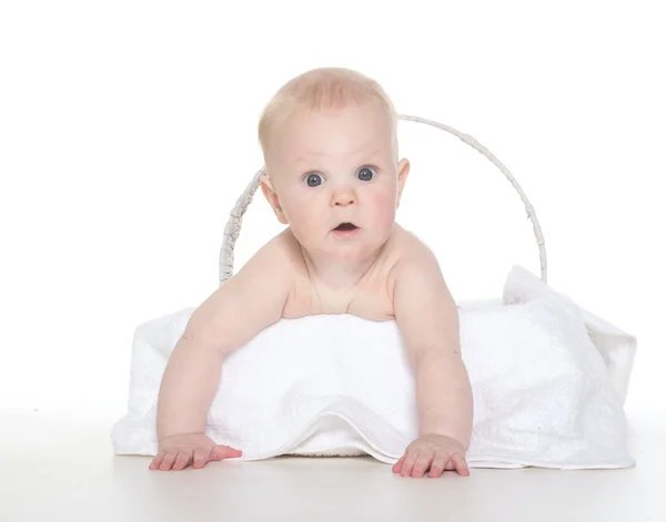 Baby in basket — Stock Photo, Image