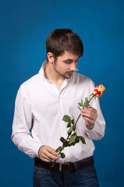 Young man looking to red rose on blue background — Stock Photo, Image