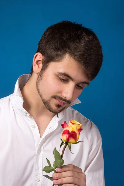 Young man looking to red rose on blue background — Stock Photo, Image