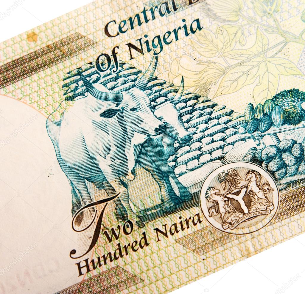 Nigerian banknotes