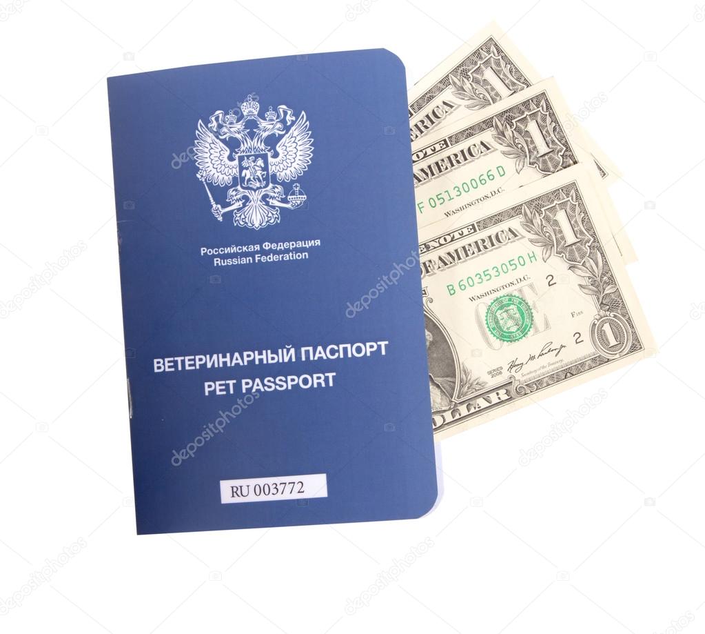 Pet passport on dollar bills isolated Stock Photo by gsdonlin