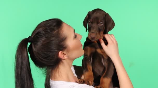 彼女のドーベルマン犬子犬とブルネットの少女 — ストック動画