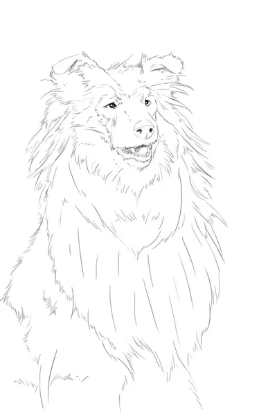 国境 Colie写真素材 ロイヤリティフリー国境 Colie画像 Depositphotos