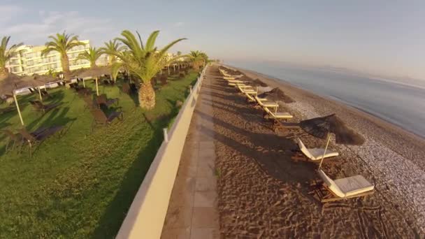 Vuelo aéreo sobre palmeras en la playa — Vídeos de Stock