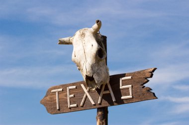 Texas işareti eski at kafatası ile 