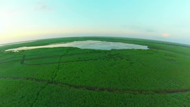 Campo con lago — Video Stock