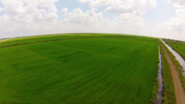 Vue aérienne sur les rizières 