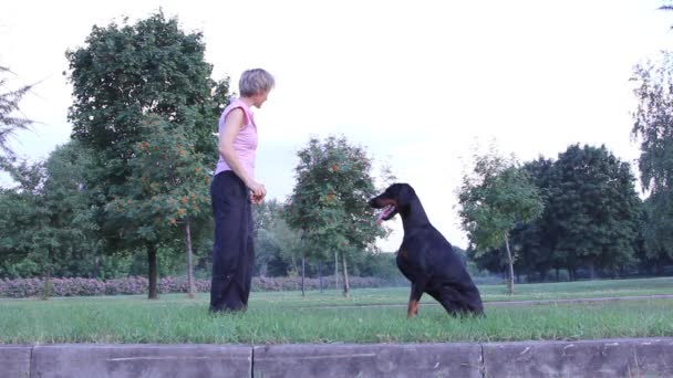 Woman playing with dog — Stock Video