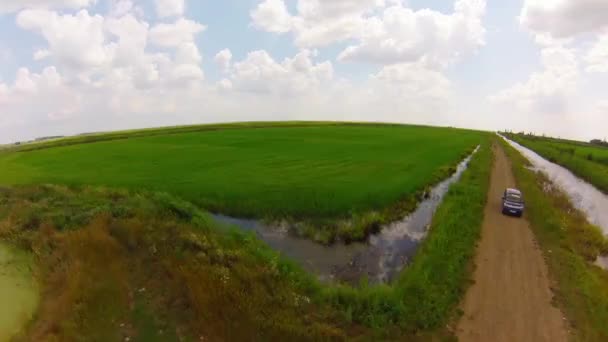 Vue aérienne sur les rizières 
