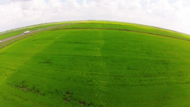 Air view on rice fields — Stock Video