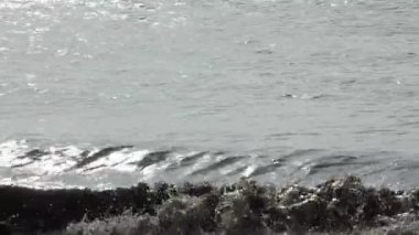 akşam deniz