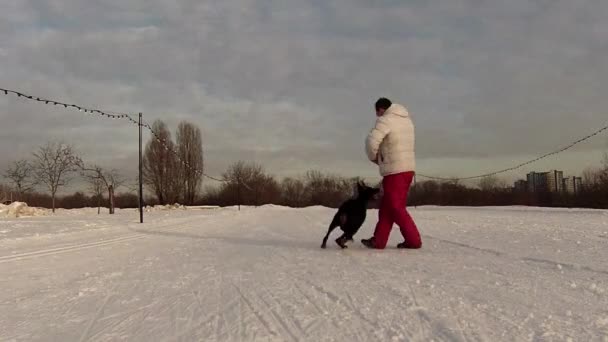 Homem brincando com doberman — Vídeo de Stock