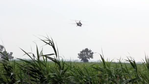 Вертолетное распыление удобрений — стоковое видео