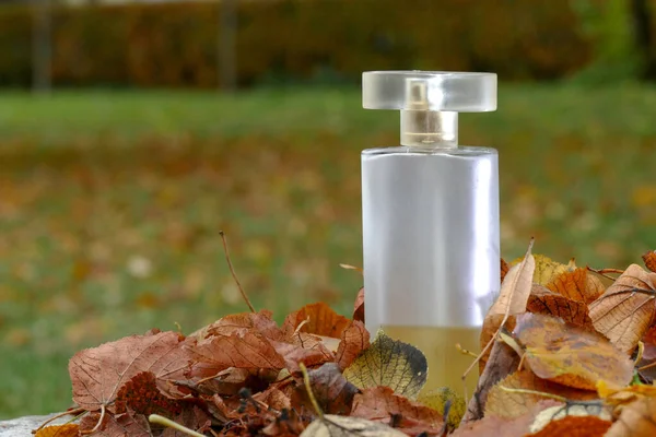 Frasco de perfume na grama — Fotografia de Stock