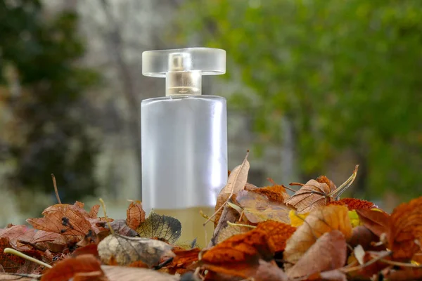 Butelka perfum na trawie — Zdjęcie stockowe
