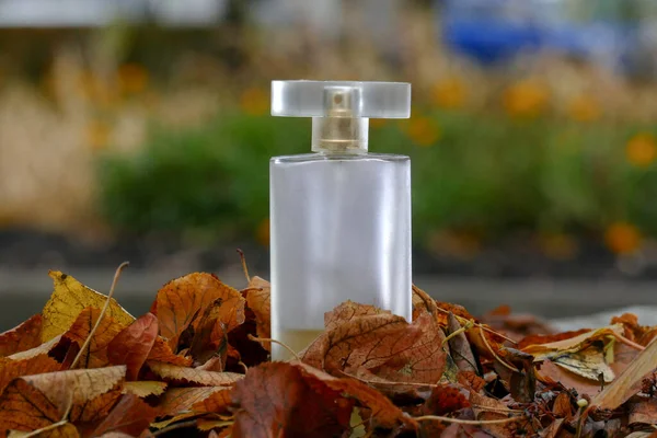 草上的香水瓶 — 图库照片