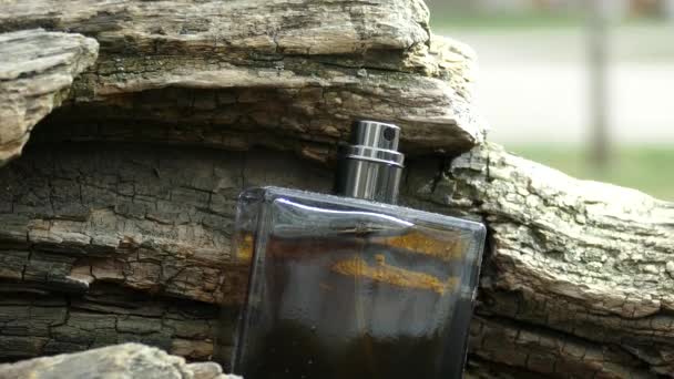Perfume bottle on old tree — Stock Video