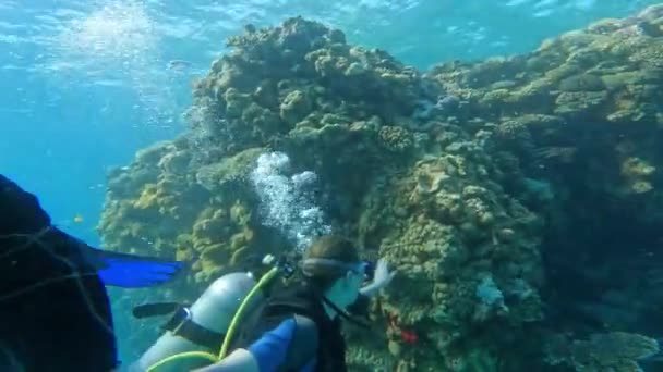 Denizde Bir Grup Dalgıç Birlikte Şubat 2022 Hurghada Eji — Stok video
