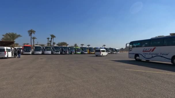 Στάθμευση Λεωφορείου Κοντά Στο Ναό Karnak Φεβ 2022 Λουξορ Αιγυπτοσ — Αρχείο Βίντεο