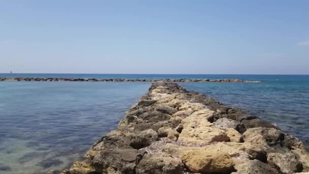 Frangiflutti in pietra sulla spiaggia della città — Video Stock