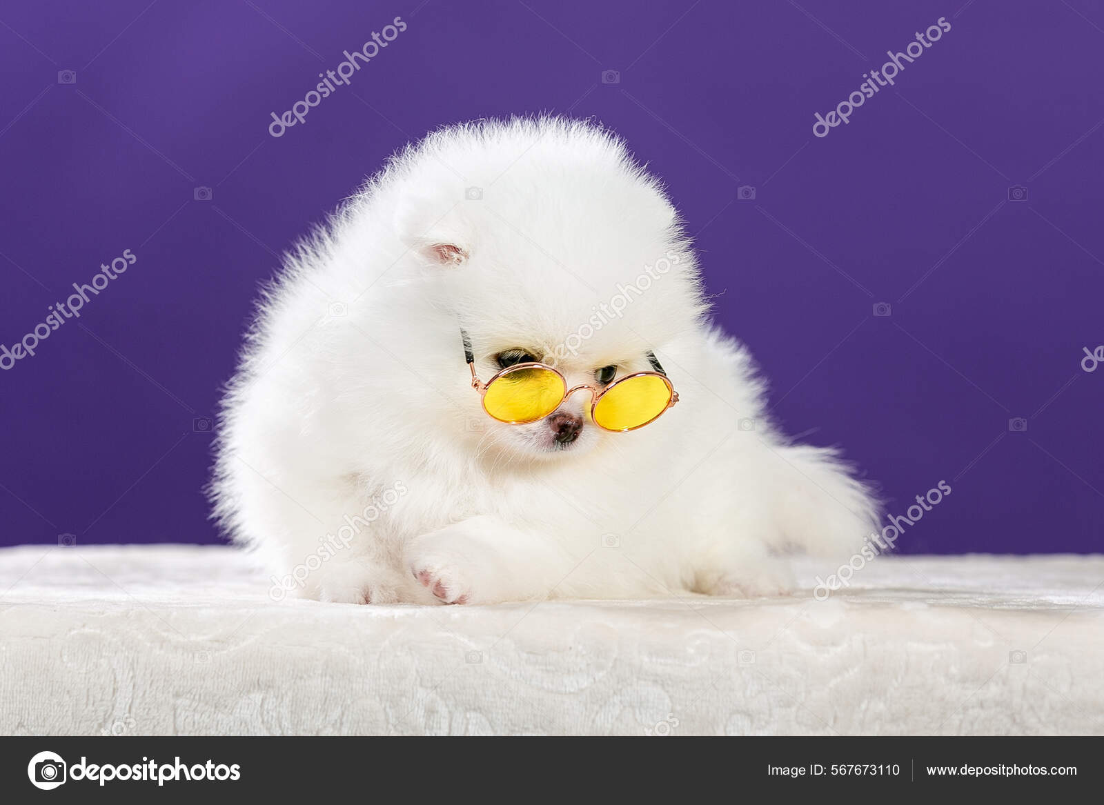 This Study Will Perfect Your casino: Read Or Miss Out The Business Of casino