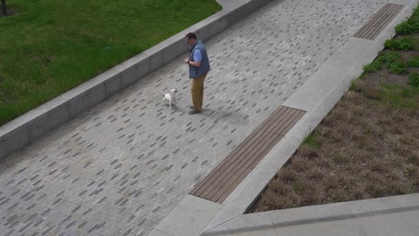 Мужчина с маленькой собачкой гуляет по парку — стоковое видео