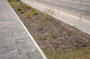 Parktaki bitkiler için otomatik sulama sistemi boruları