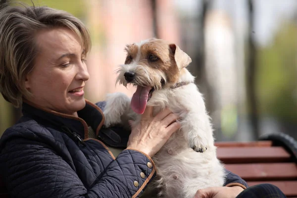 Beyaz Jack Russell Terrier Larla Parkta Dinlenen Çekici Bir Kadın — Stok fotoğraf