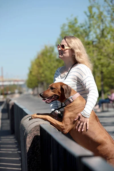 Kvinna Med Stor Röd Hund Lutar Sig Mot Marmorplattan Vallen — Stockfoto
