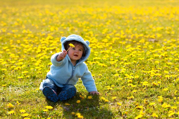 Chico en primavera flores campo — Foto de Stock