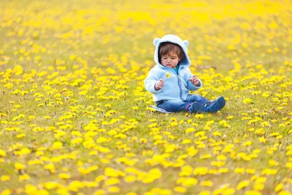 B nel campo con fiori primaverili — Foto Stock