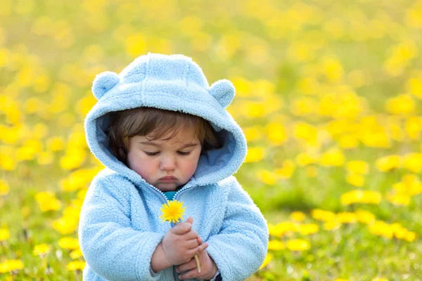 Retrato de um menino com flor — Fotografia de Stock