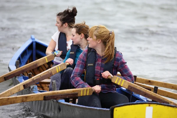 All Ireland Currach Racing — Stock Photo, Image