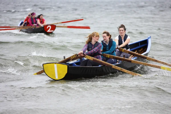 All Ireland Currach Racing — Stock Photo, Image