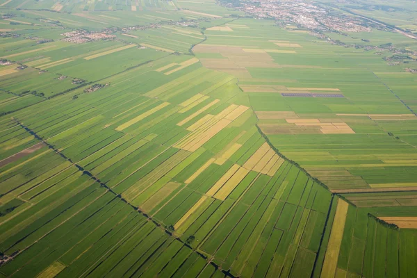 Aerial view over the Amsterdam suburbs — Stock Photo, Image