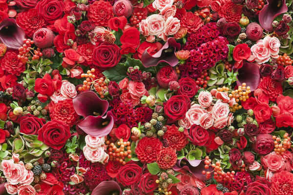 Fond abstrait de fleurs — Photo