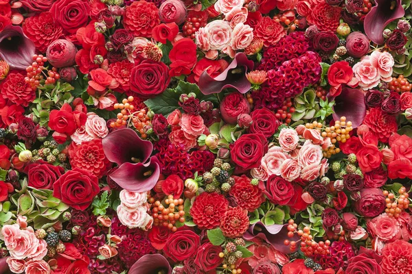 Fundo abstrato de flores — Fotografia de Stock