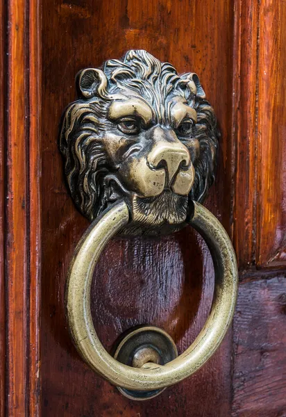 Львиная голова, медный стук в дверь — стоковое фото