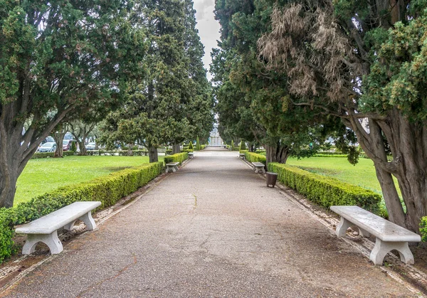 Grön stadspark — Stockfoto