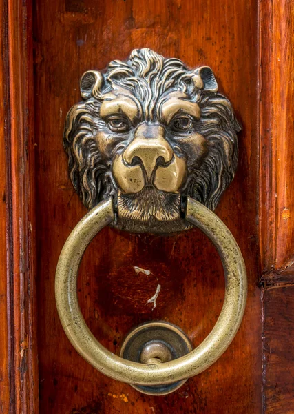 Leeuw hoofd knocker — Stockfoto