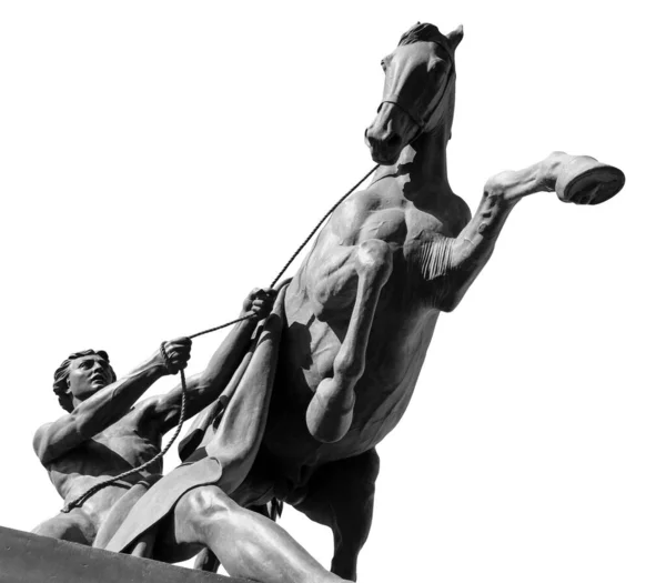 Cavallo e uomo scultura antica del ponte di Anichkov a San Pietroburgo. Monumento isolato su sfondo bianco — Foto Stock