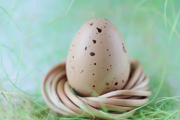 Huevo en un nido verde —  Fotos de Stock
