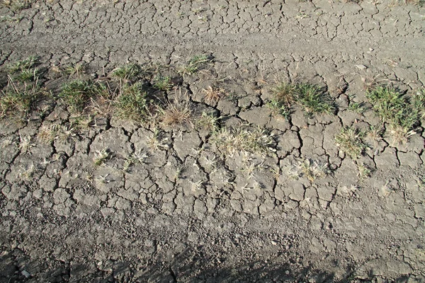 A terra crepitada — Fotografia de Stock