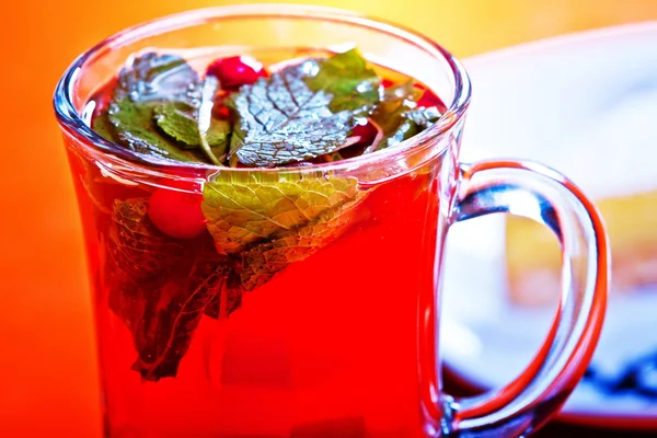 Té de arándano caliente — Foto de Stock