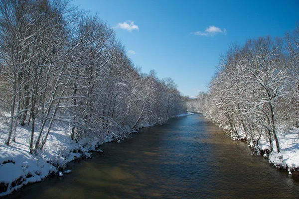 Morning on the river — Stock Photo, Image